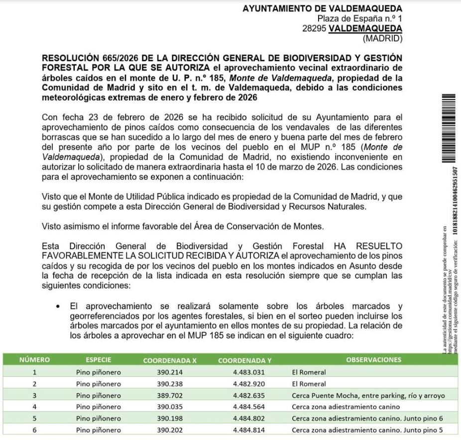 Aprovechamiento especial de pinos caídos